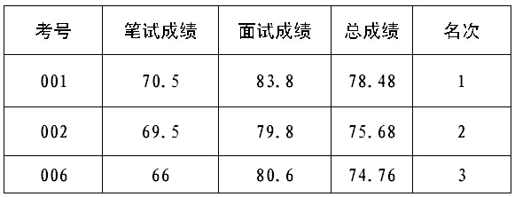 笔试与面试，二元平衡评估模式