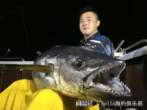 邓刚新西兰钓鱼传奇，蓝鳍金枪鱼与龙趸大石斑的连续捕获，现实还是梦幻剧本？