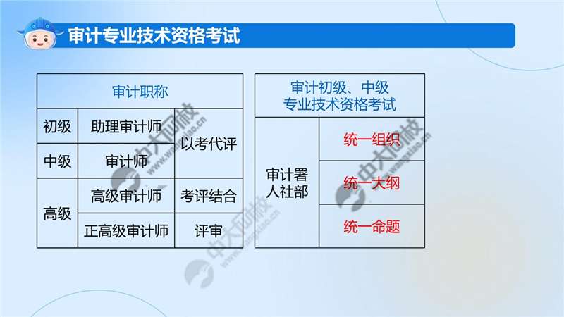 事业单位审计师的角色与职责解析