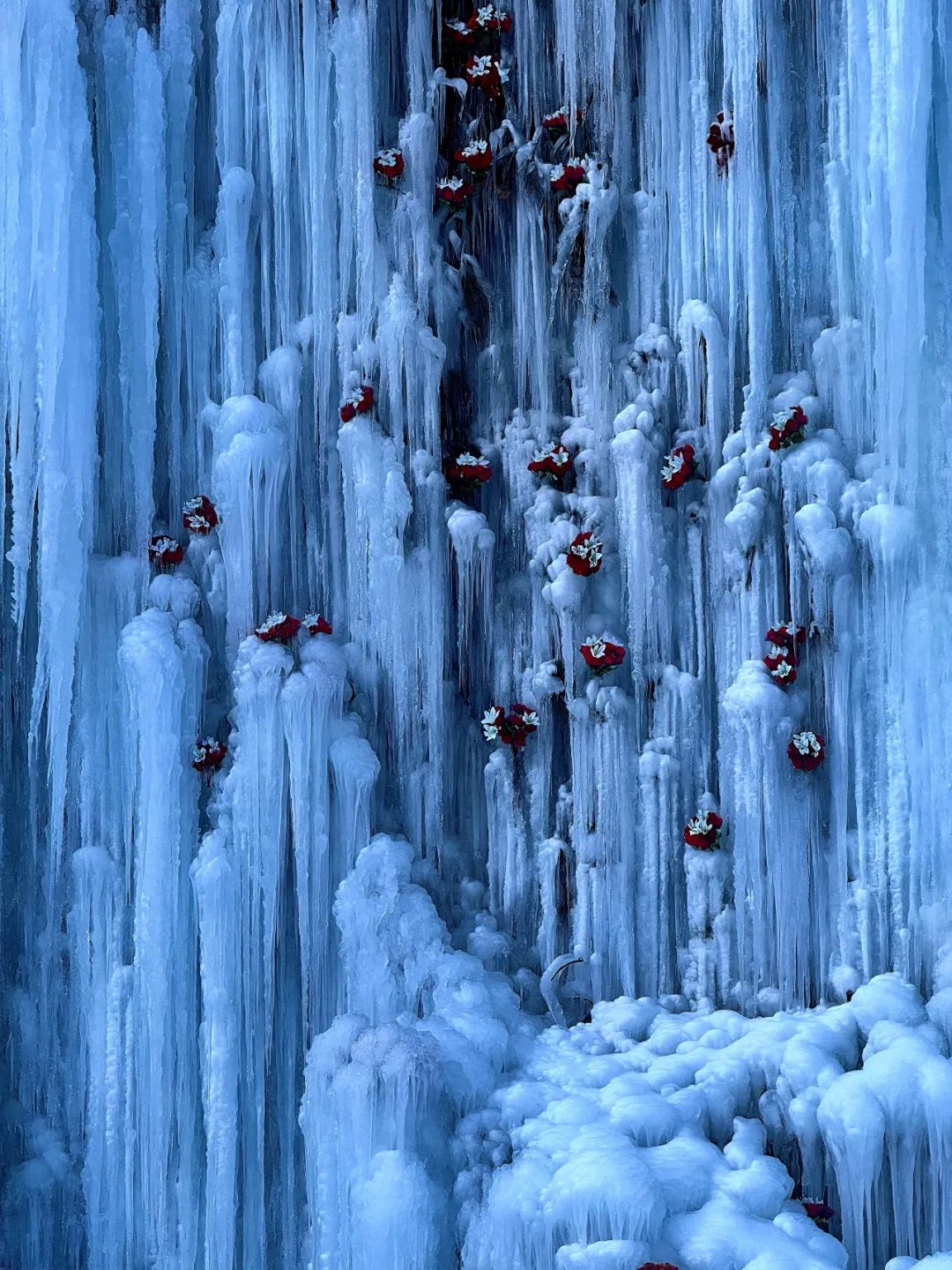 自然之美，冷热交织，冰雪共舞的独特体验