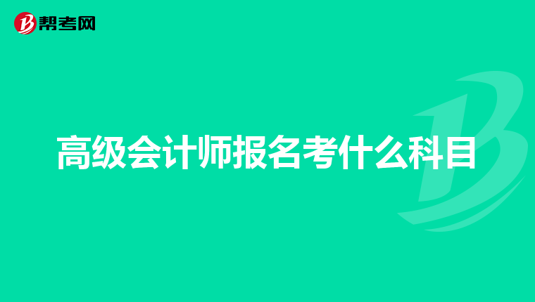 公务员报名中财务相关专业的重要性及其涵盖领域概览