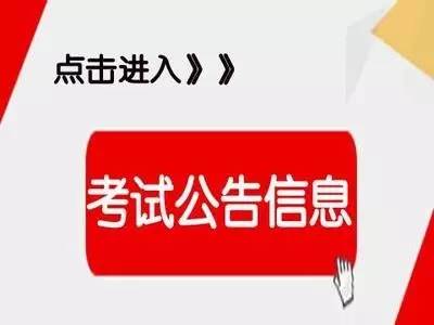 深圳盐田事业单位招聘最新信息及影响与机遇深度解析