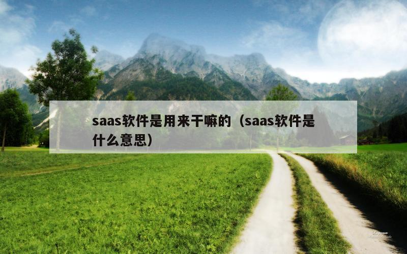 saas软件是用来干嘛的（saas软件是什么意思）