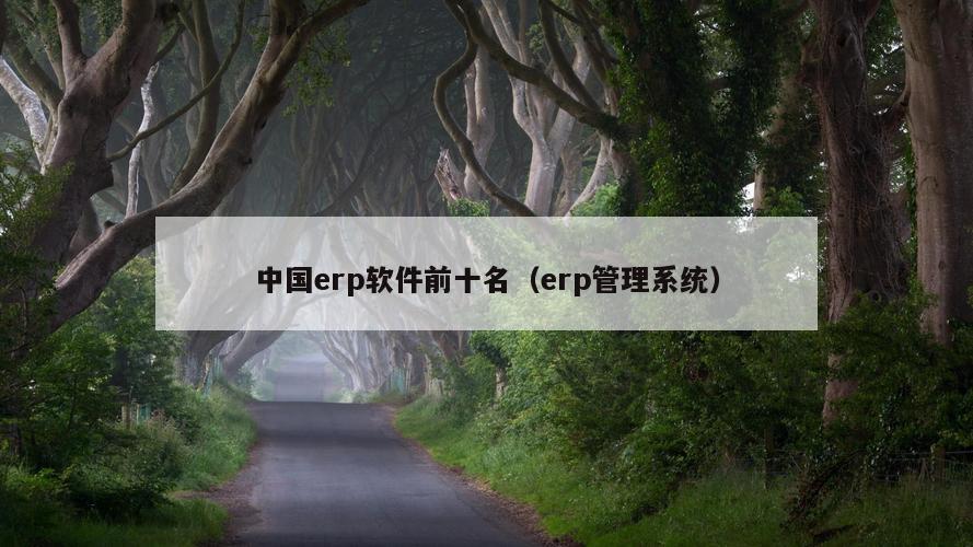 中国erp软件前十名（erp管理系统）