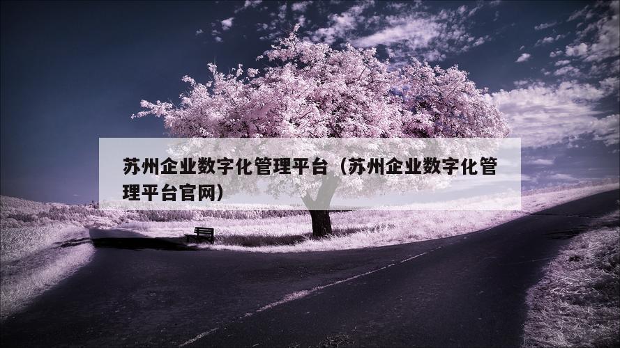 苏州企业数字化管理平台（苏州企业数字化管理平台官网）