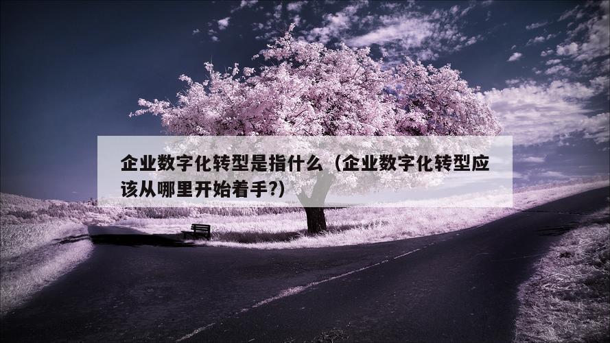 企业数字化转型是指什么（企业数字化转型应该从哪里开始着手?）