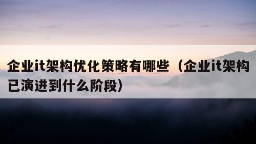 企业it架构优化策略有哪些（企业it架构已演进到什么阶段）