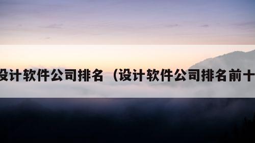 设计软件公司排名（设计软件公司排名前十）