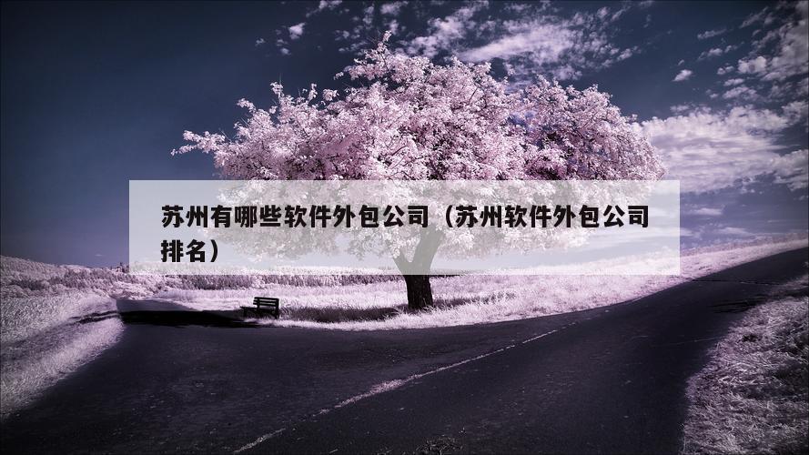 苏州有哪些软件外包公司（苏州软件外包公司排名）