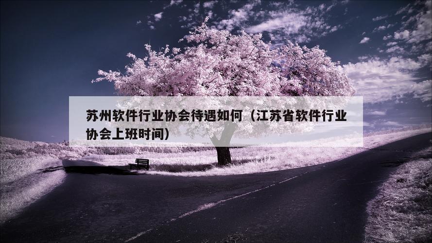 苏州软件行业协会待遇如何（江苏省软件行业协会上班时间）