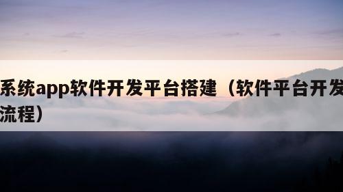 系统app软件开发平台搭建（软件平台开发流程）