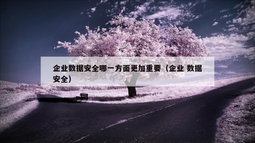 企业数据安全哪一方面更加重要（企业 数据安全）