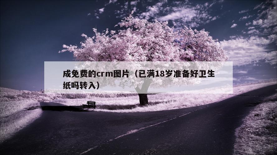 成免费的crm图片（已满18岁准备好卫生纸吗转入）