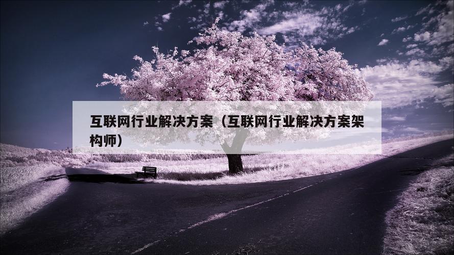 互联网行业解决方案（互联网行业解决方案架构师）