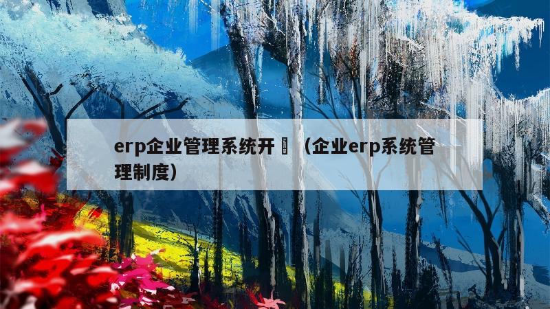 erp企业管理系统开溿（企业erp系统管理制度）