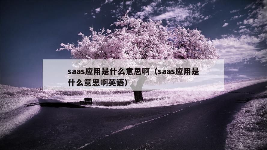 saas应用是什么意思啊（saas应用是什么意思啊英语）