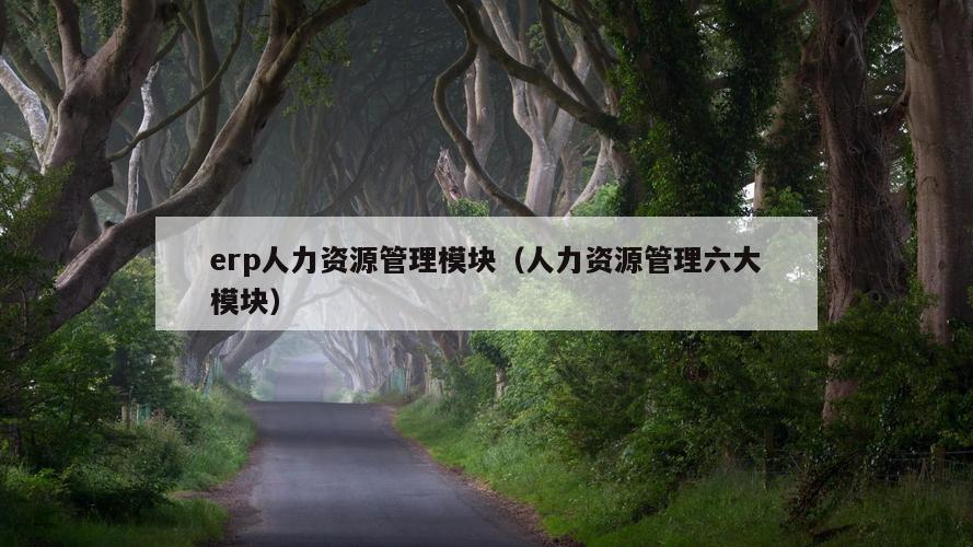 erp人力资源管理模块（人力资源管理六大模块）