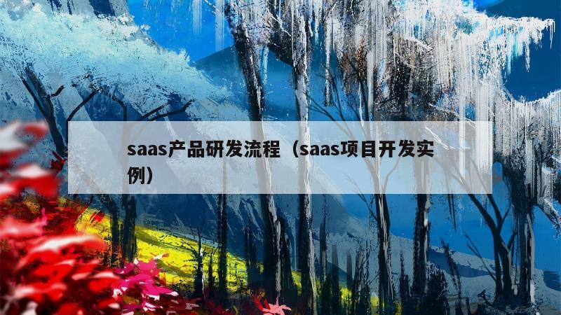 saas产品研发流程（saas项目开发实例）