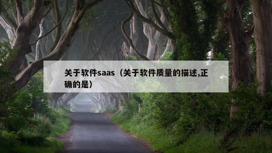 关于软件saas（关于软件质量的描述,正确的是）