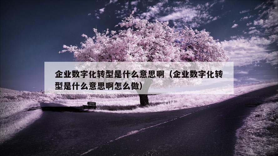 企业数字化转型是什么意思啊（企业数字化转型是什么意思啊怎么做）