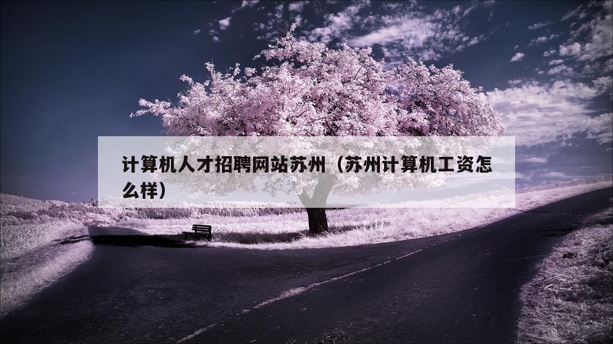 计算机人才招聘网站苏州（苏州计算机工资怎么样）