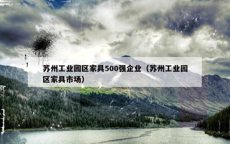 苏州工业园区家具500强企业（苏州工业园区家具市场）