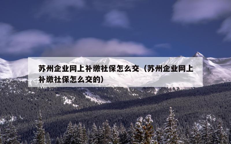 苏州企业网上补缴社保怎么交（苏州企业网上补缴社保怎么交的）