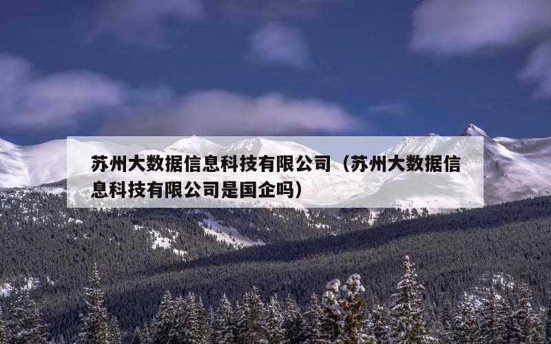 苏州大数据信息科技有限公司（苏州大数据信息科技有限公司是国企吗）