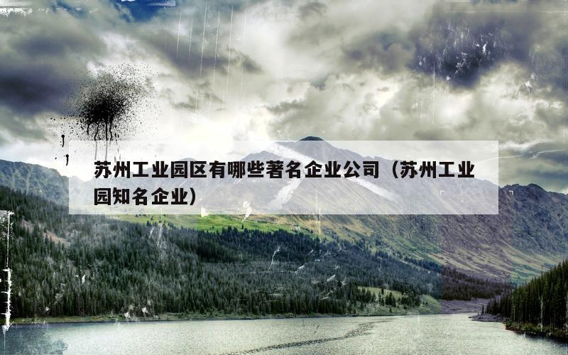 苏州工业园区有哪些著名企业公司（苏州工业园知名企业）