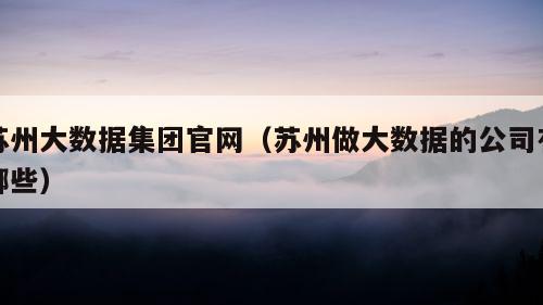 苏州大数据集团官网（苏州做大数据的公司有哪些）