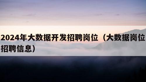 2024年大数据开发招聘岗位（大数据岗位招聘信息）