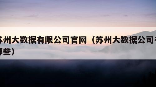 苏州大数据有限公司官网（苏州大数据公司有哪些）