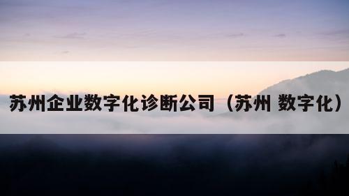 苏州企业数字化诊断公司（苏州 数字化）