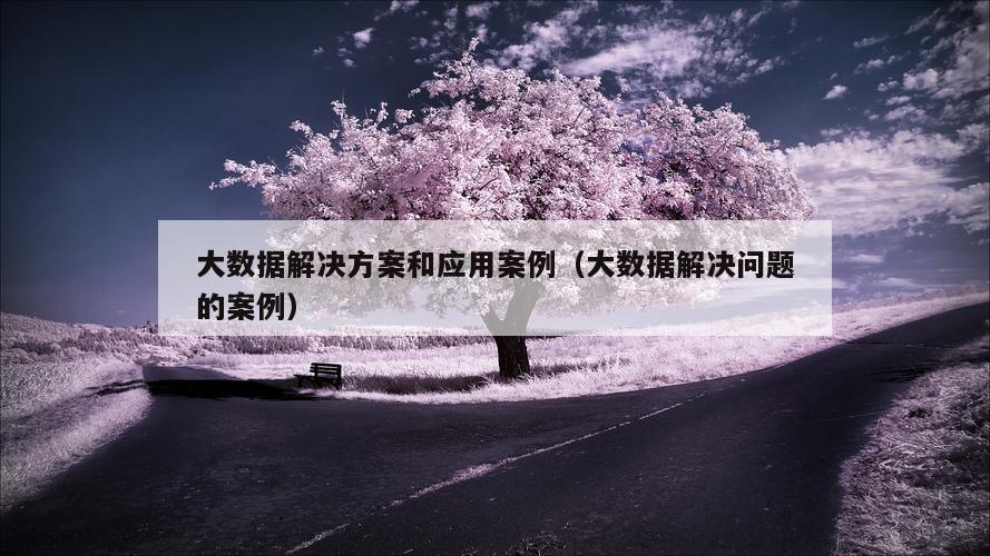 大数据解决方案和应用案例（大数据解决问题的案例）