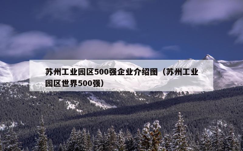 苏州工业园区500强企业介绍图（苏州工业园区世界500强）