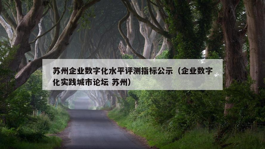 苏州企业数字化水平评测指标公示（企业数字化实践城市论坛 苏州）