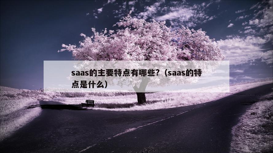 saas的主要特点有哪些?（saas的特点是什么）