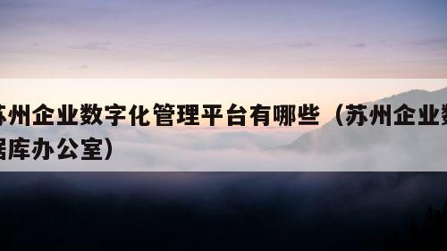 苏州企业数字化管理平台有哪些（苏州企业数据库办公室）