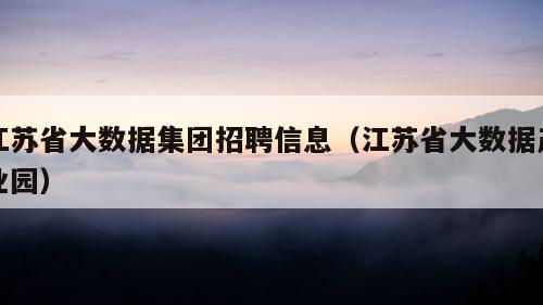 江苏省大数据集团招聘信息（江苏省大数据产业园）