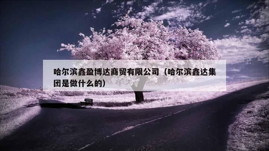 哈尔滨鑫盈博达商贸有限公司（哈尔滨鑫达集团是做什么的）