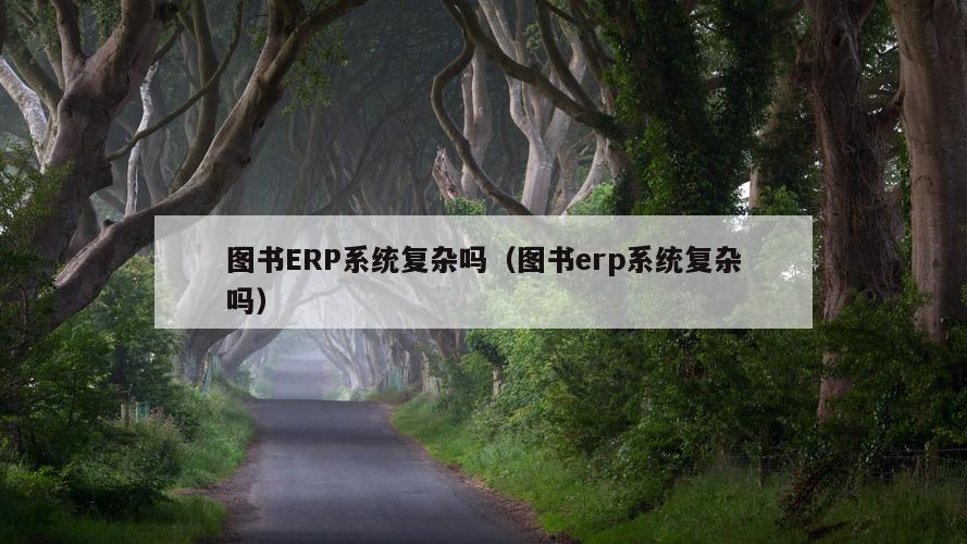 图书ERP系统复杂吗（图书erp系统复杂吗）