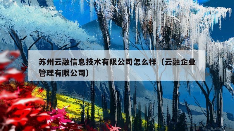 苏州云融信息技术有限公司怎么样（云融企业管理有限公司）