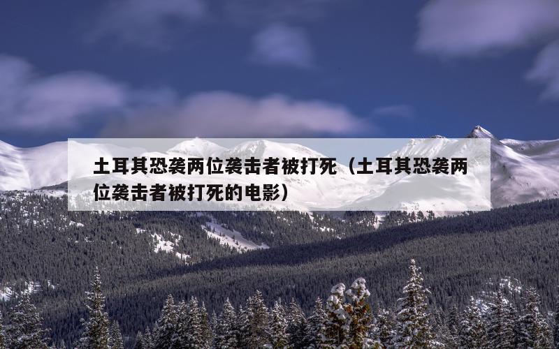 土耳其恐袭两位袭击者被打死（土耳其恐袭两位袭击者被打死的电影）