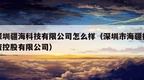 深圳疆海科技有限公司怎么样（深圳市海疆投资控股有限公司）