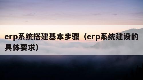 erp系统搭建基本步骤（erp系统建设的具体要求）