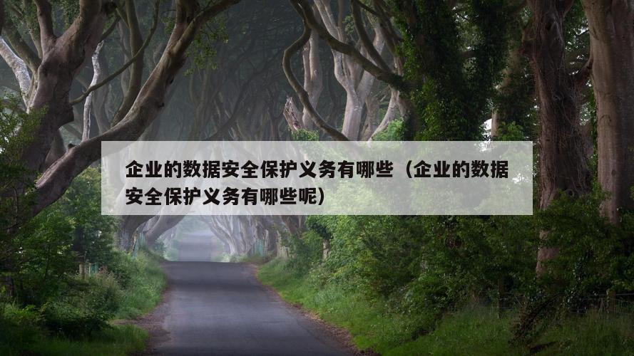 企业的数据安全保护义务有哪些（企业的数据安全保护义务有哪些呢）