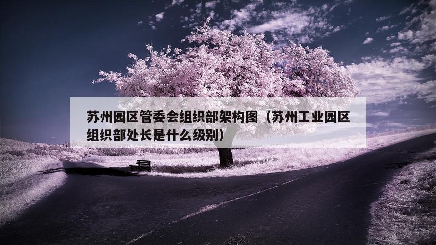 苏州园区管委会组织部架构图（苏州工业园区组织部处长是什么级别）