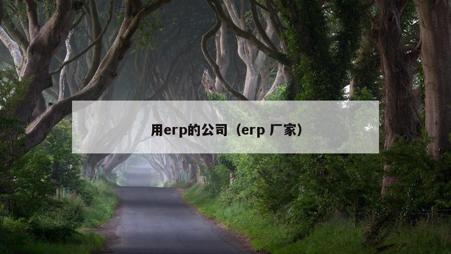 用erp的公司（erp 厂家）