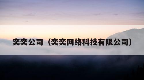 奕奕公司（奕奕网络科技有限公司）