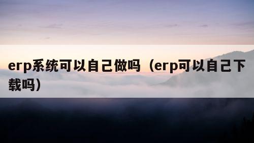 erp系统可以自己做吗（erp可以自己下载吗）